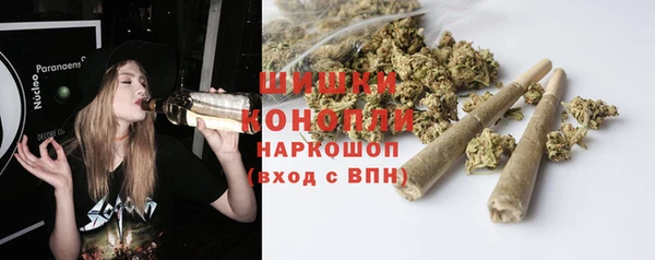 индика Покачи
