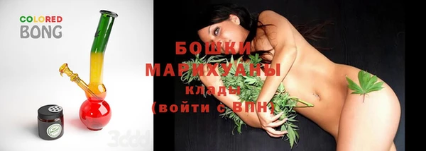индика Покачи