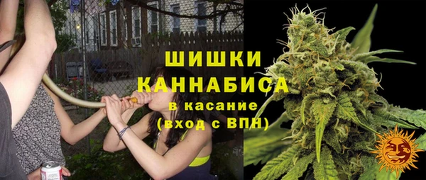 мдпв Богданович