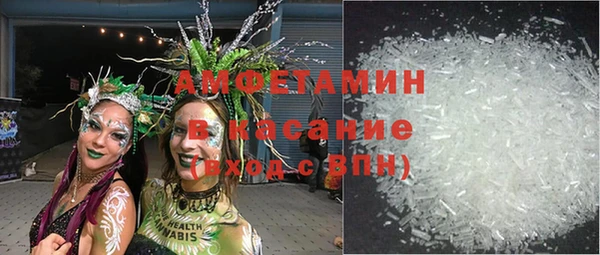 индика Покачи