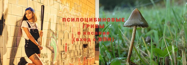 прущие крисы Богородск