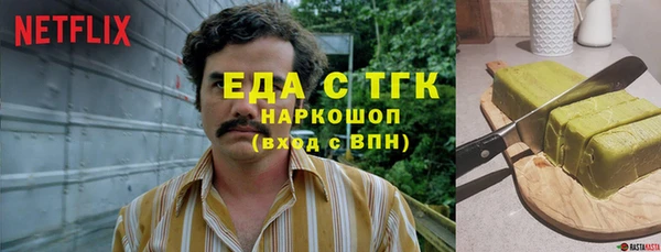 трава Ельня